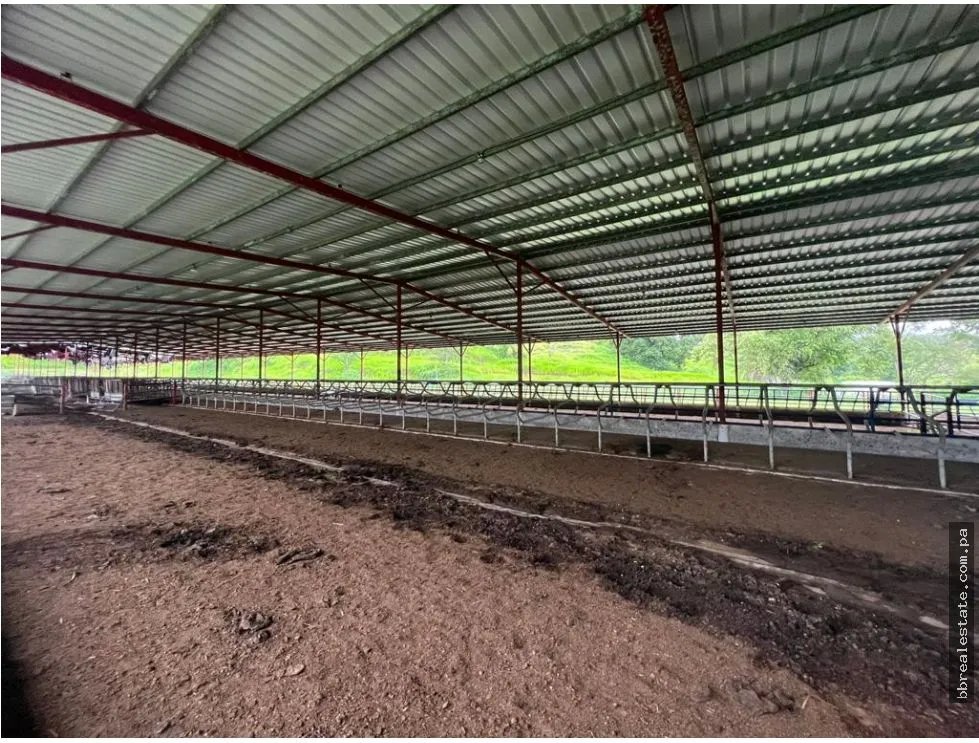 VENTA FINCA EN VERAGUAS PONUGA, LA MARIA