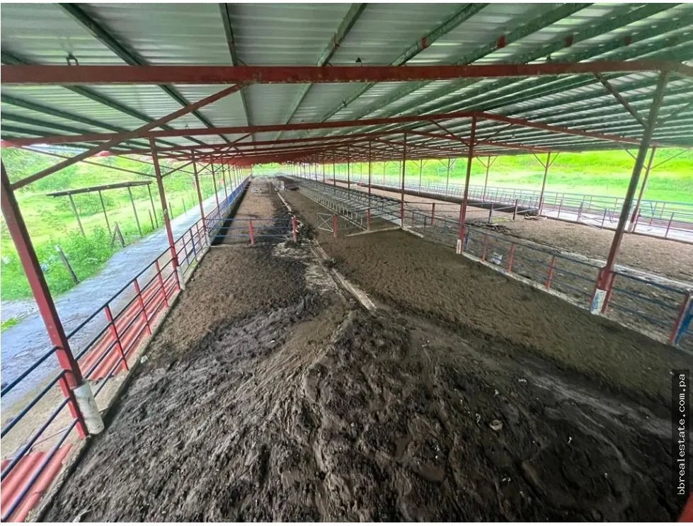 VENTA FINCA EN VERAGUAS PONUGA, LA MARIA