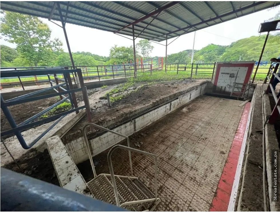 VENTA FINCA EN VERAGUAS PONUGA, LA MARIA