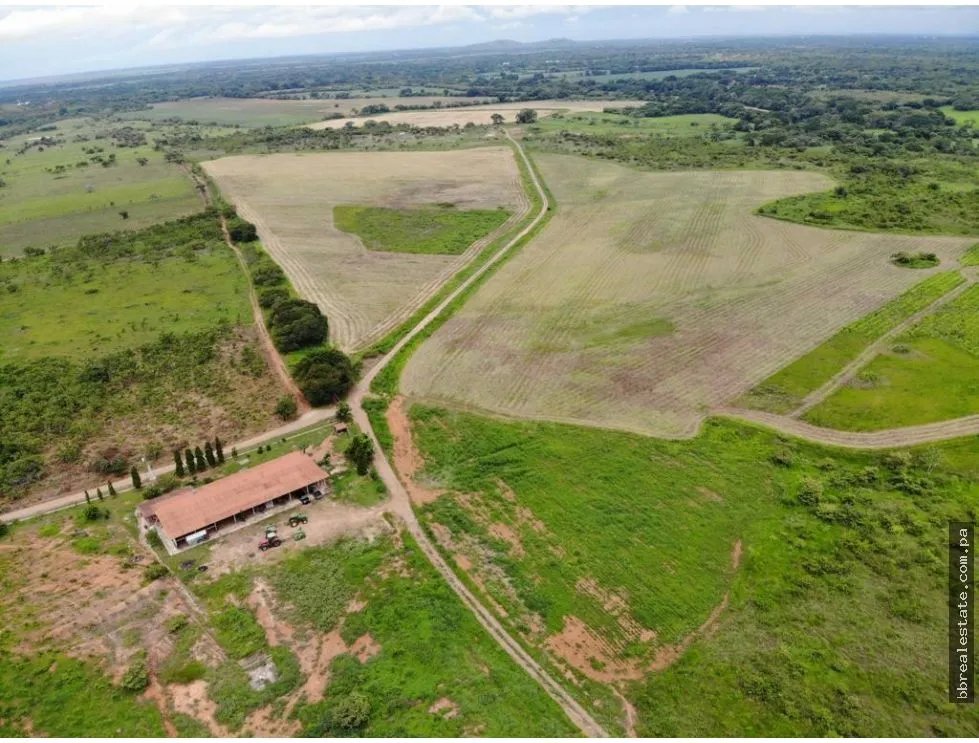 VENTA FINCA EN PENONOME NATA -  LA FORTALEZA