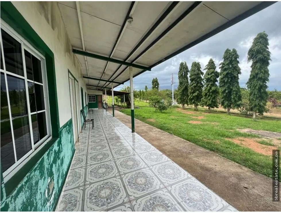 VENTA FINCA EN PENONOME NATA -  LA FORTALEZA