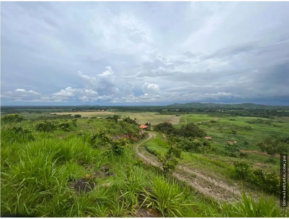 VENTA FINCA EN PENONOME NATA -  LA FORTALEZA