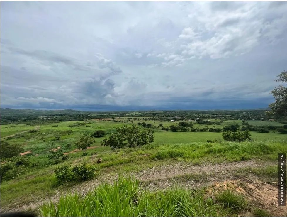 Land/Farm for sale in Cocle