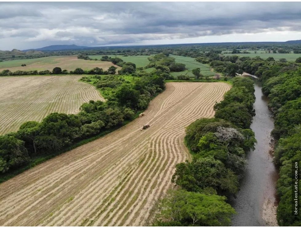 Land/Farm for sale in Cocle