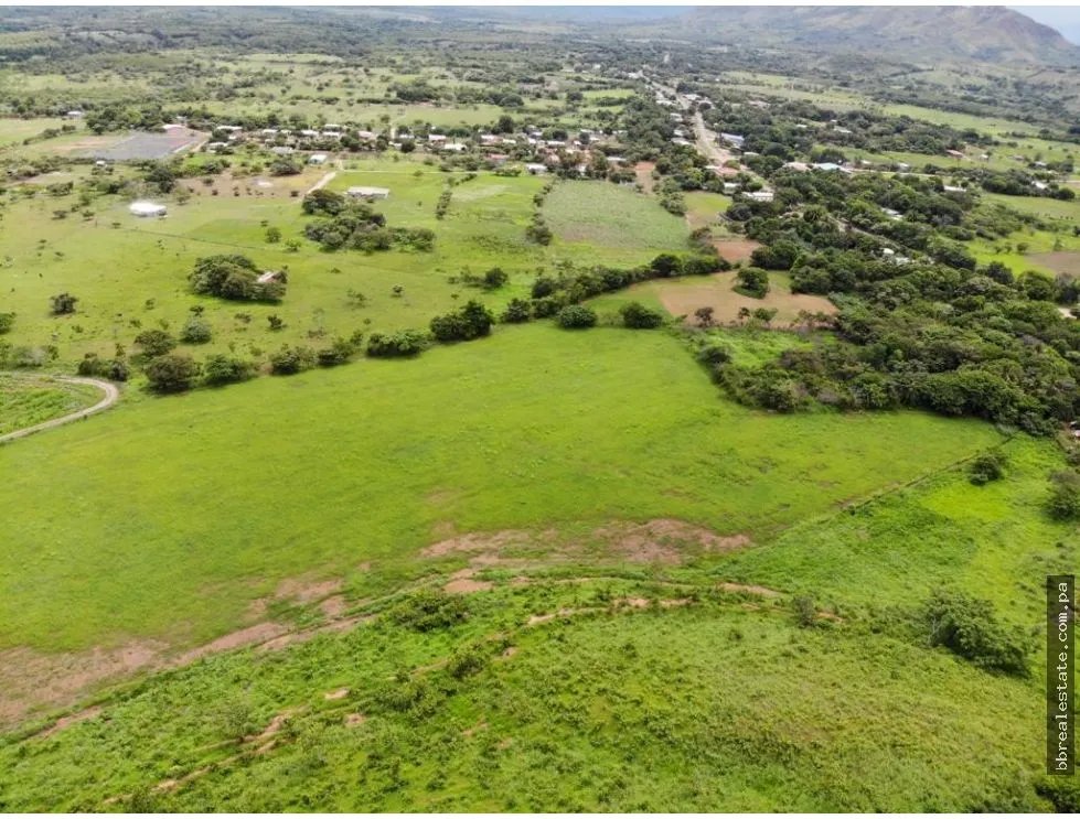 Land/Farm for sale in Cocle