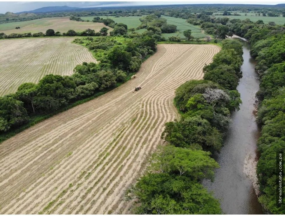 Land/Farm for sale in Cocle