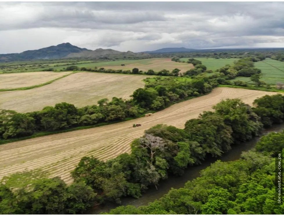 Land/Farm for sale in Cocle