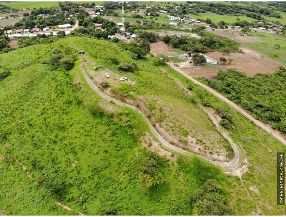 Land/Farm for sale in Cocle