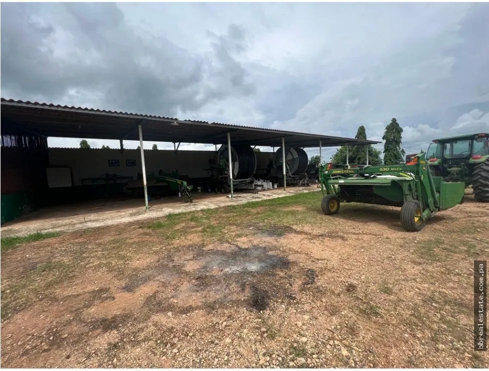 Land/Farm for sale in Cocle