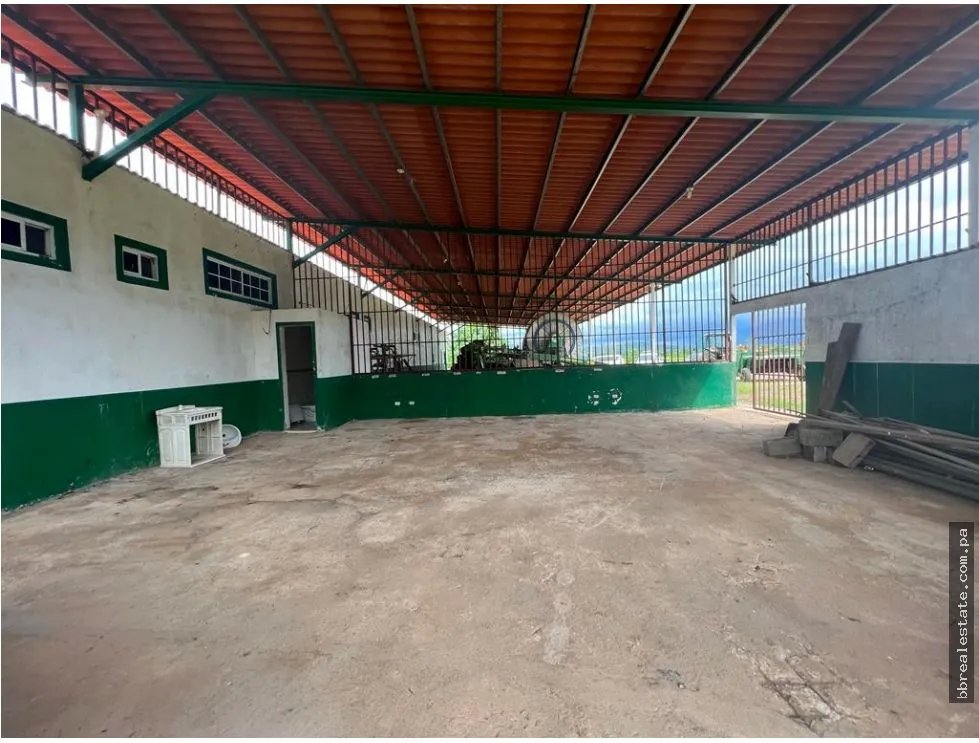 Land/Farm for sale in Cocle
