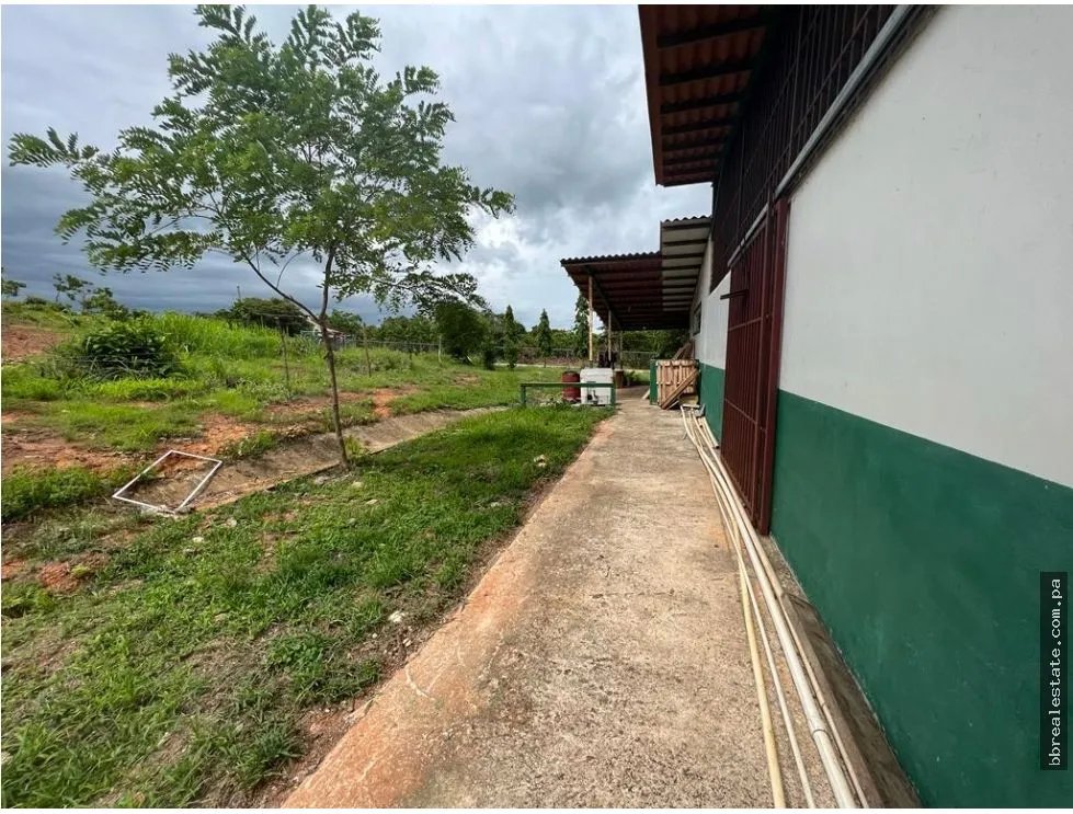 Land/Farm for sale in Cocle