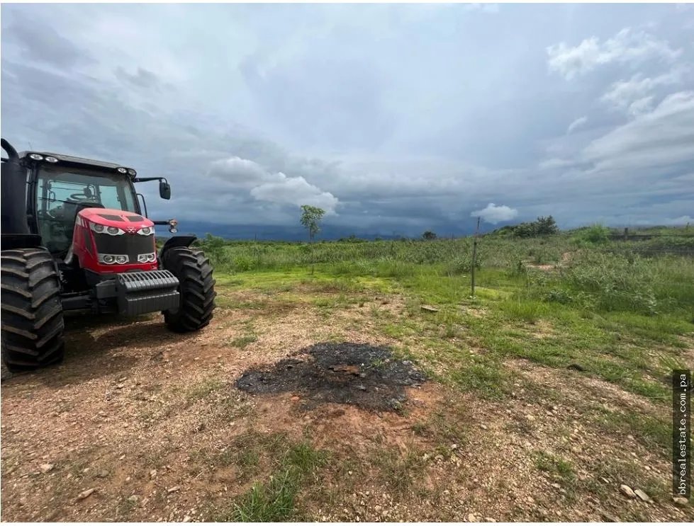 Land/Farm for sale in Cocle