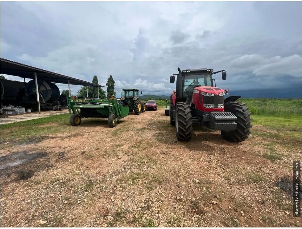 Land/Farm for sale in Cocle