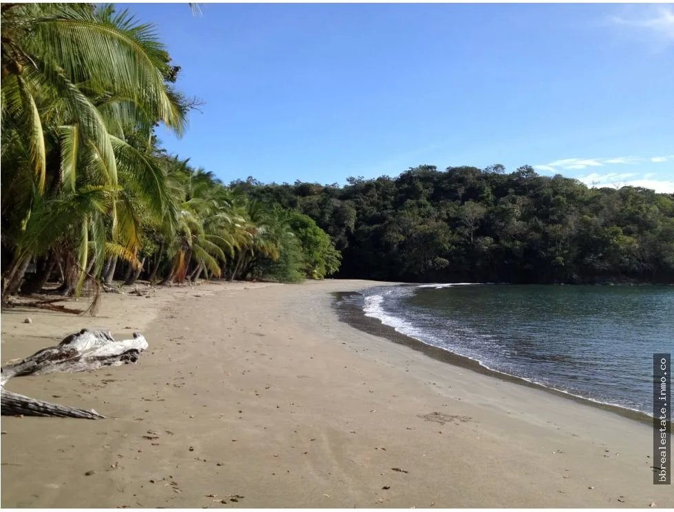 Building Lot for sale in Chiriqui