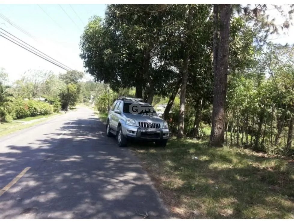 SE VENDE TERRENO EN CAPIRA  5200 M2  CON ARBOLES FRUTALES