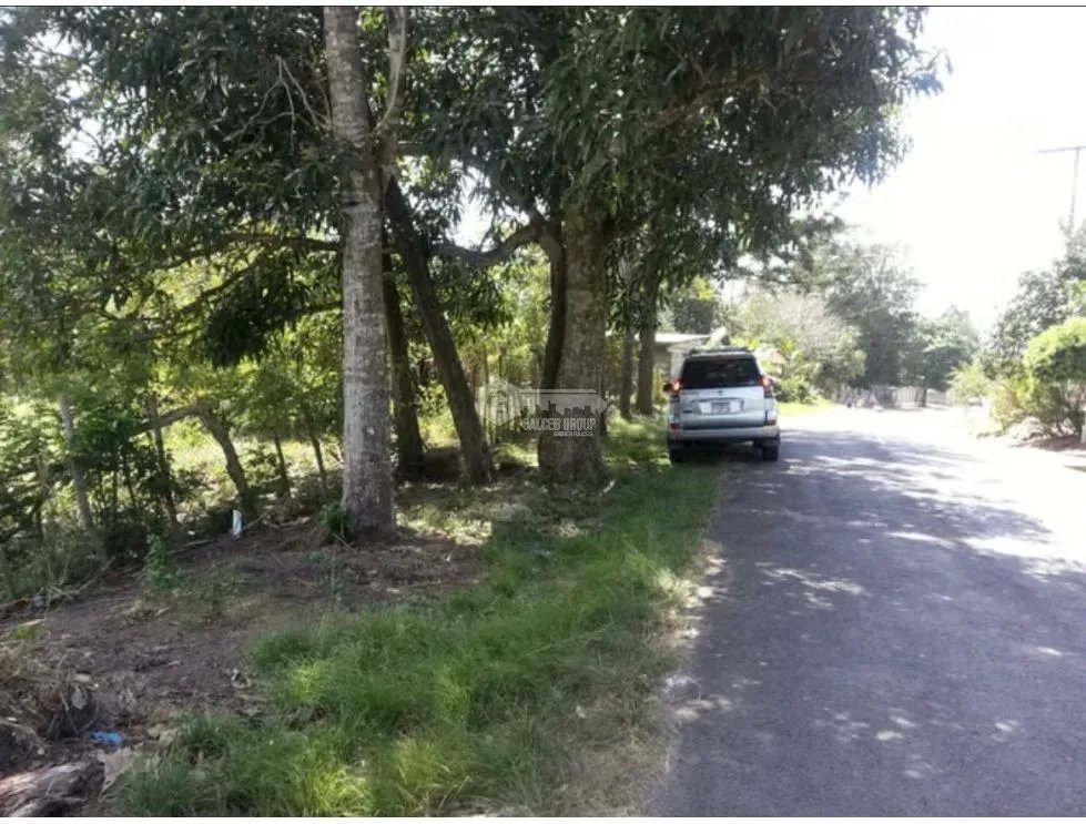 TERRENO / CAPIRA / CERMEÑO / 5200 M2 / 2 FINCAS / ARBOLES FRUTALES