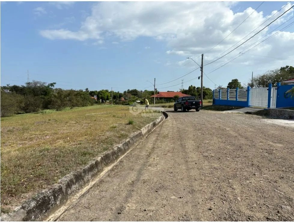 Building Lot for sale in San Carlos
