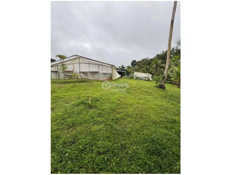 SE VENDE FINCA EN COCLE  LA PINTADA 17 HECTAREAS  FRENTE AL RIO