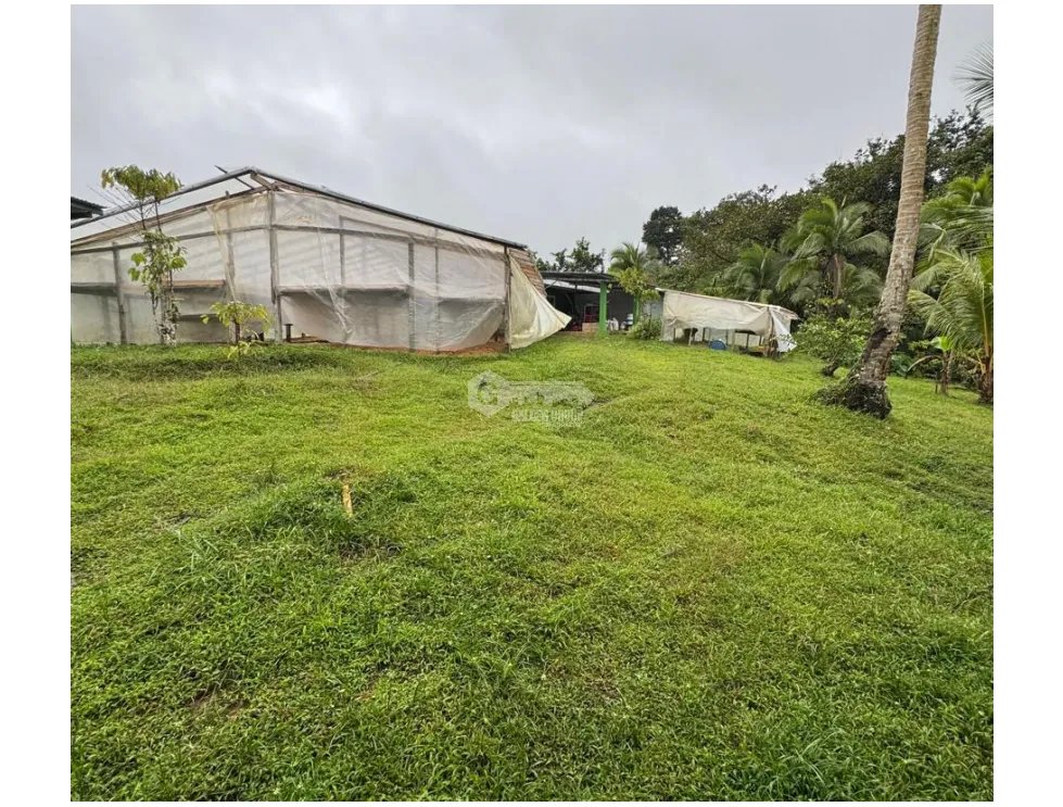 SE VENDE FINCA EN COCLE  LA PINTADA 17 HECTAREAS  FRENTE AL RIO