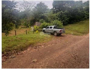 SE VENDE FINCA EN COCLE  LA PINTADA 17 H...