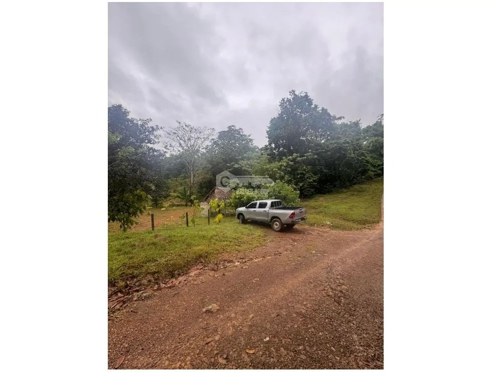Land/Farm for sale in La Pintada