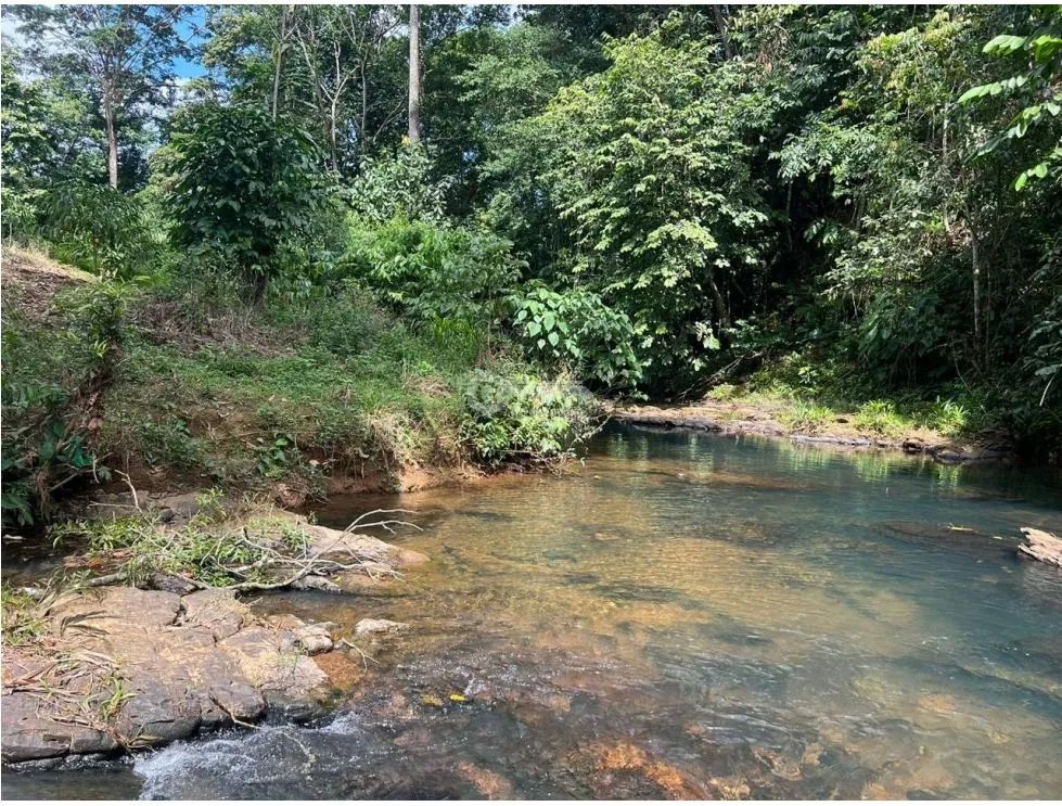 Land/Farm for sale in La Pintada