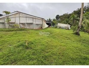 FINCA / COCLE / LA PINTADA / 17 HECTAREA...