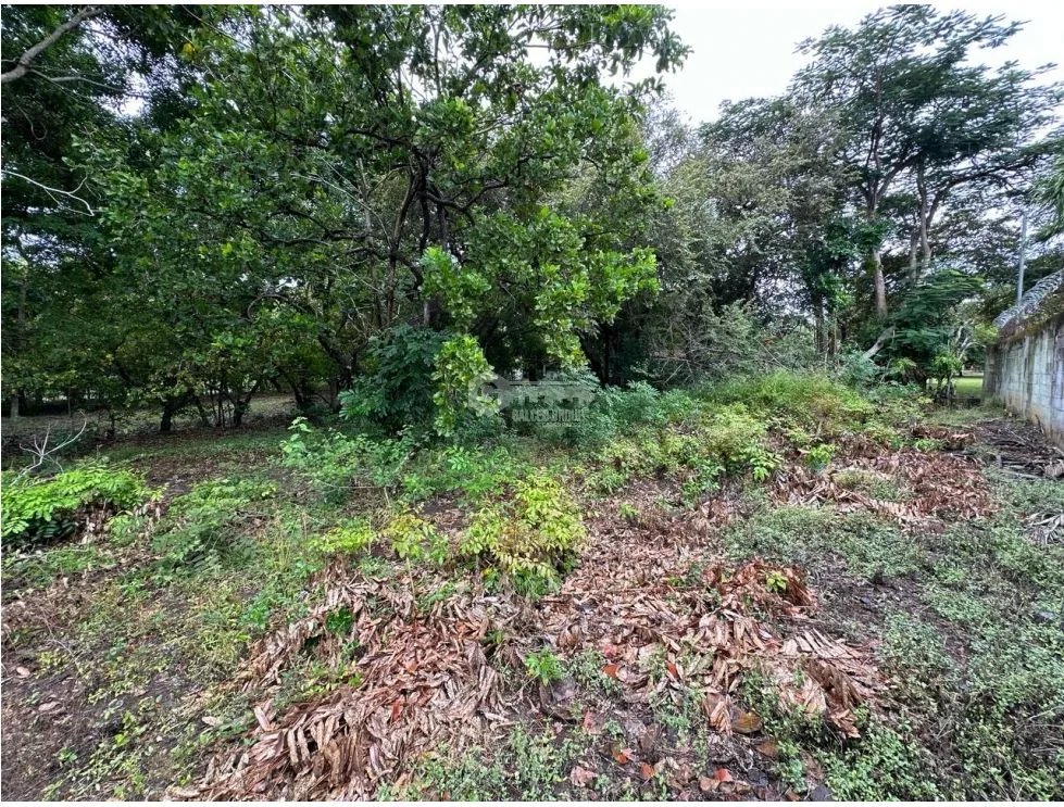 TERRENO / CHAME / CORONADO / 995 M2 / PLANO / CERCA DE PLAYAS