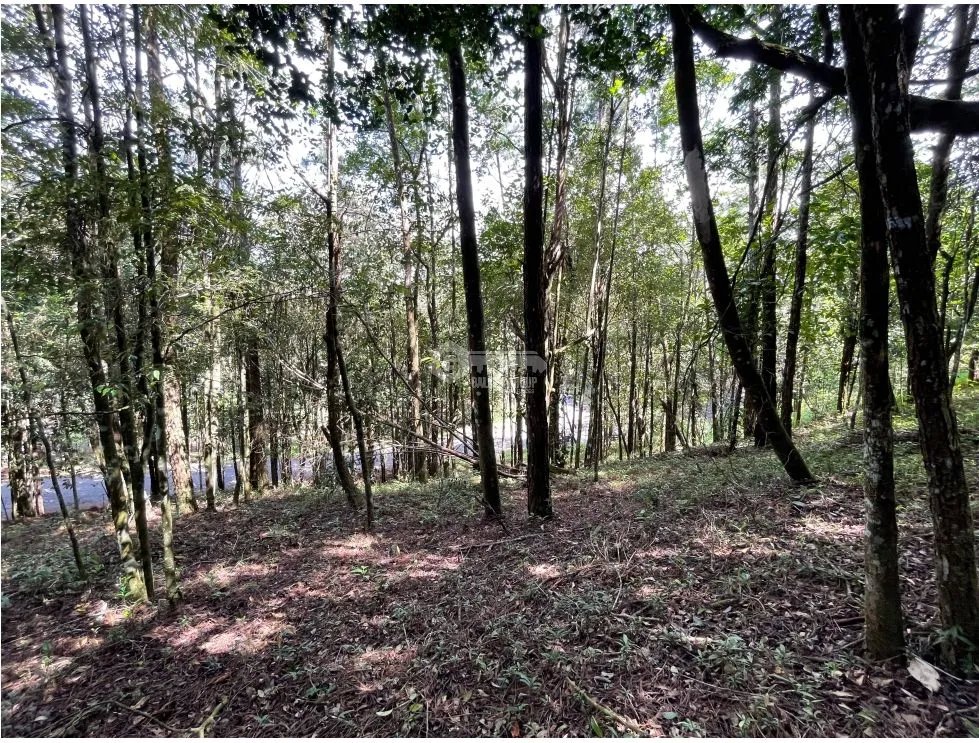 SE VENDE TERRENO EN CERRO AZUL 1301M CON PAISAJISMO Y CLIMA FRIO