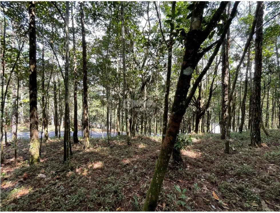 SE VENDE TERRENO EN CERRO AZUL 1301M CON PAISAJISMO Y CLIMA FRIO
