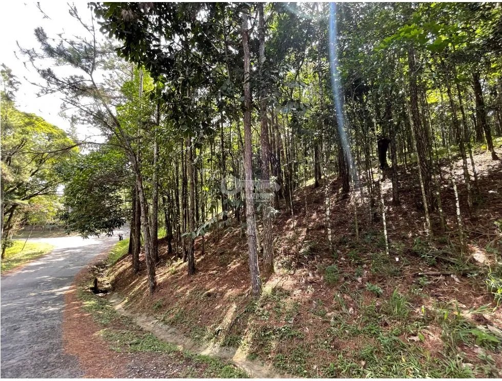 SE VENDE TERRENO EN CERRO AZUL 1301M CON PAISAJISMO Y CLIMA FRIO