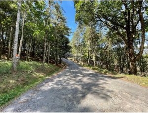 SE VENDE TERRENO EN CERRO AZUL 1301M CON...