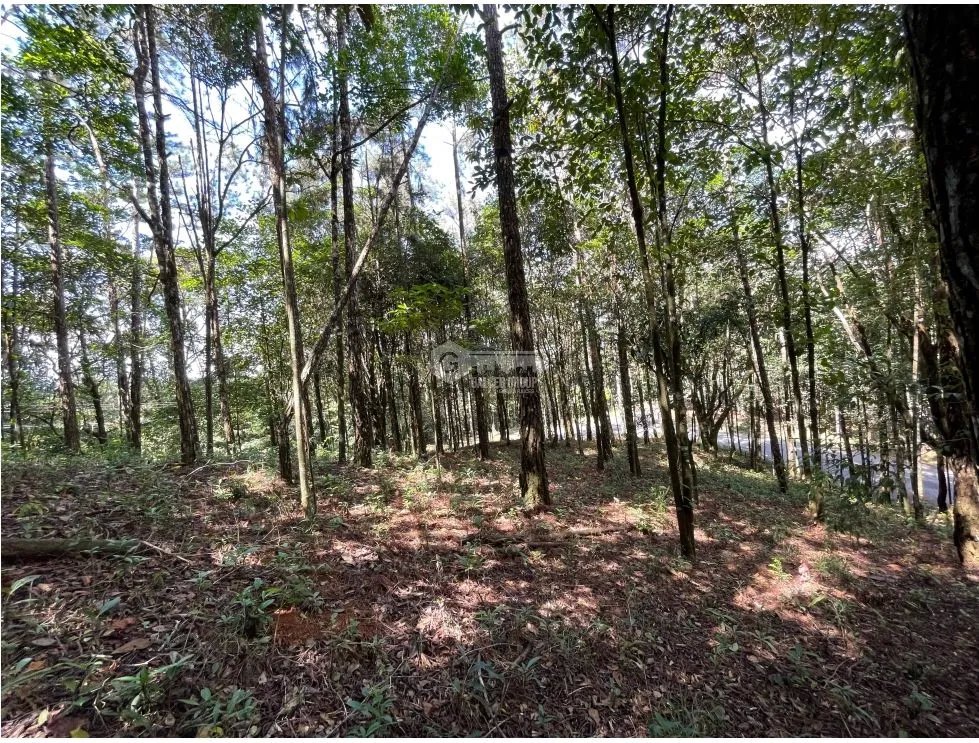 TERRENO / CERRO AZUL / 1301M / CON PAISAJISMO / CLIMA FRIO