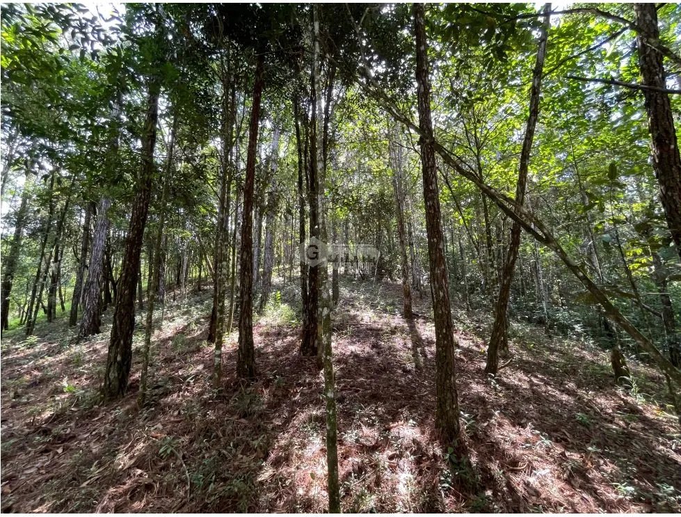 TERRENO / CERRO AZUL / 1301M / CON PAISAJISMO / CLIMA FRIO