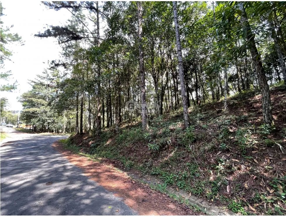 TERRENO / CERRO AZUL / 1301M / CON PAISAJISMO / CLIMA FRIO