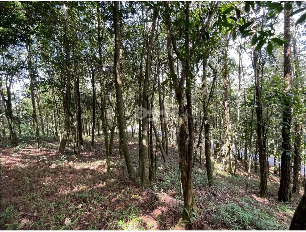 TERRENO / CERRO AZUL / 1301M / CON PAISAJISMO / CLIMA FRIO