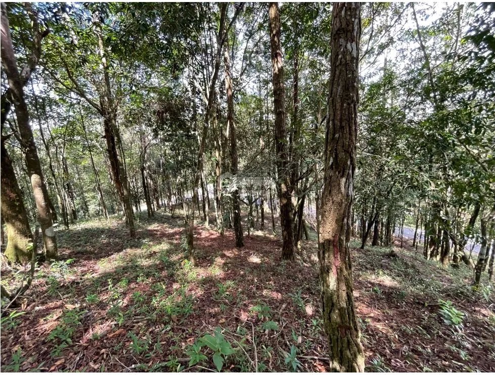 TERRENO / CERRO AZUL / 1301M / CON PAISAJISMO / CLIMA FRIO