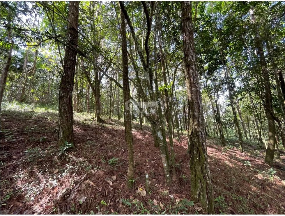 TERRENO / CERRO AZUL / 1301M / CON PAISAJISMO / CLIMA FRIO