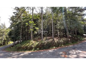 TERRENO / CERRO AZUL / 1301M / CON PAISA...
