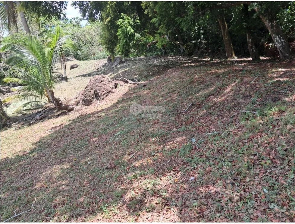 TERRENO / LAS CUMBRES / LAS LAJAS / 4000 M2 / VIA ASFALTADA