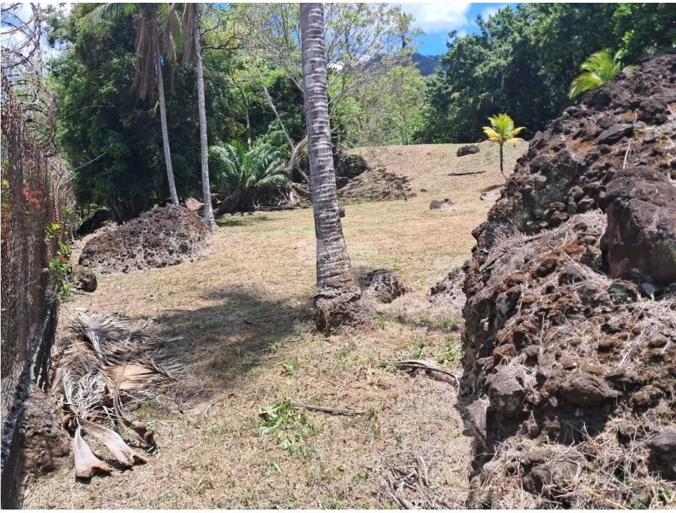 TERRENO / LAS CUMBRES / LAS LAJAS / 4000 M2 / VIA ASFALTADA