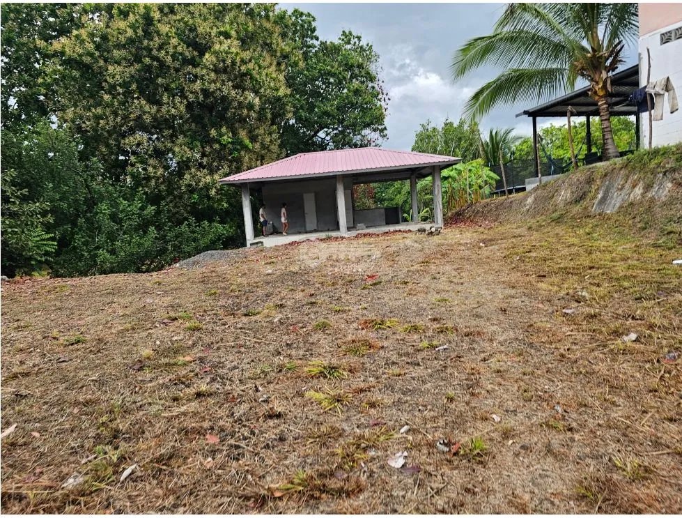 SE VENDE TERRENO EN  SAN CARLOS 771 M2 CON ARBOLES FRUTALES