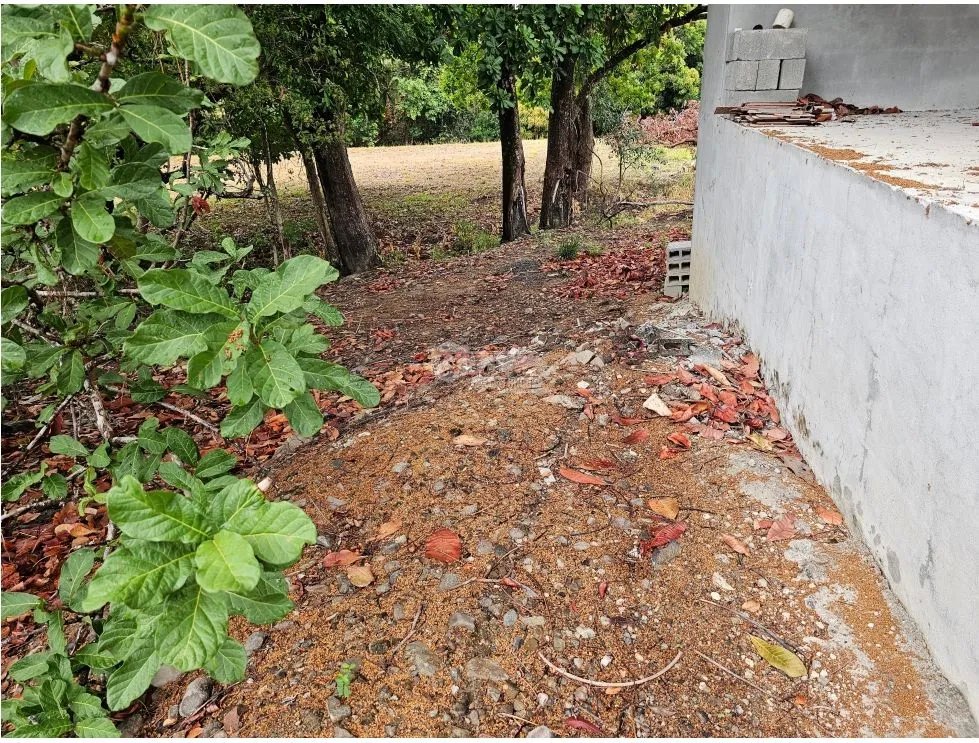 SE VENDE TERRENO EN  SAN CARLOS 771 M2 CON ARBOLES FRUTALES