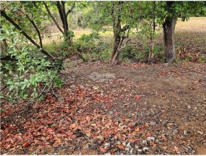 Building Lot for sale in San Carlos