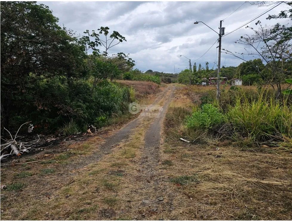TERRENO / SAN CARLOS / SAN JOSE / 771 M2 / ARBOLES FRUTALES / BOHIO