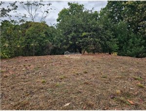 TERRENO / SAN CARLOS / SAN JOSE / 771 M2...