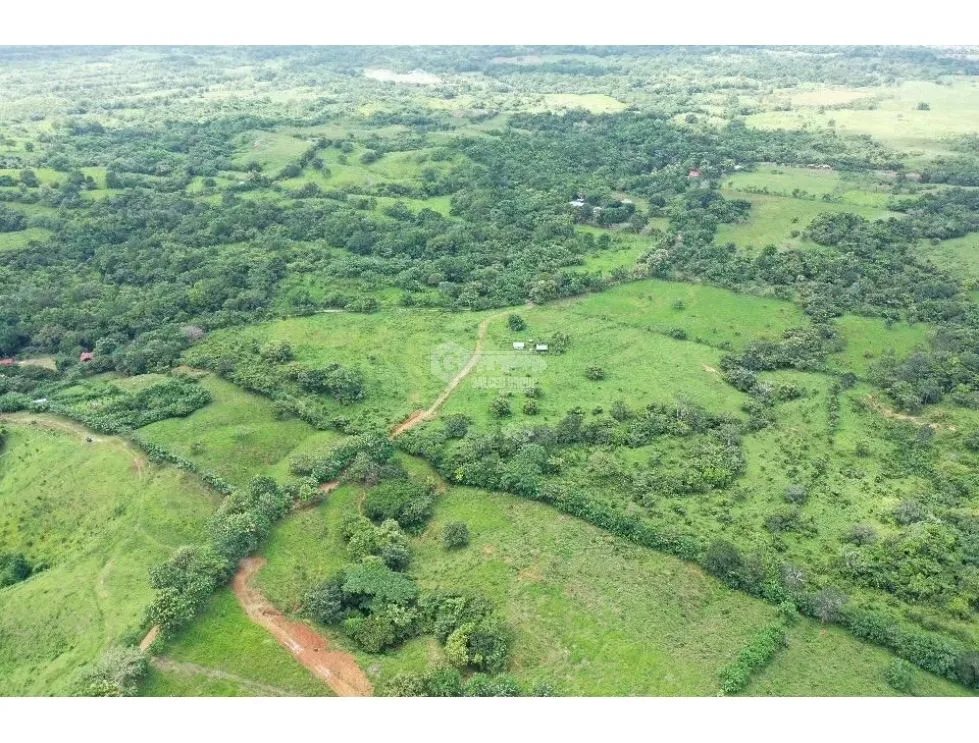 SE VENDE TERRENO EN CHEPO TANARA  25 HECTÁREAS VISTAS AL RIO