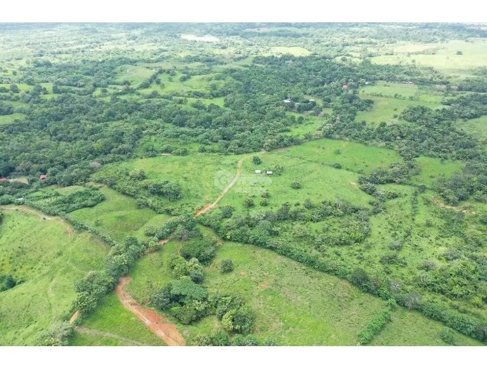 TERRENO / CHEPO / TANARA / 25 HECTÁREAS / FINCA / VISTAS AL RIO