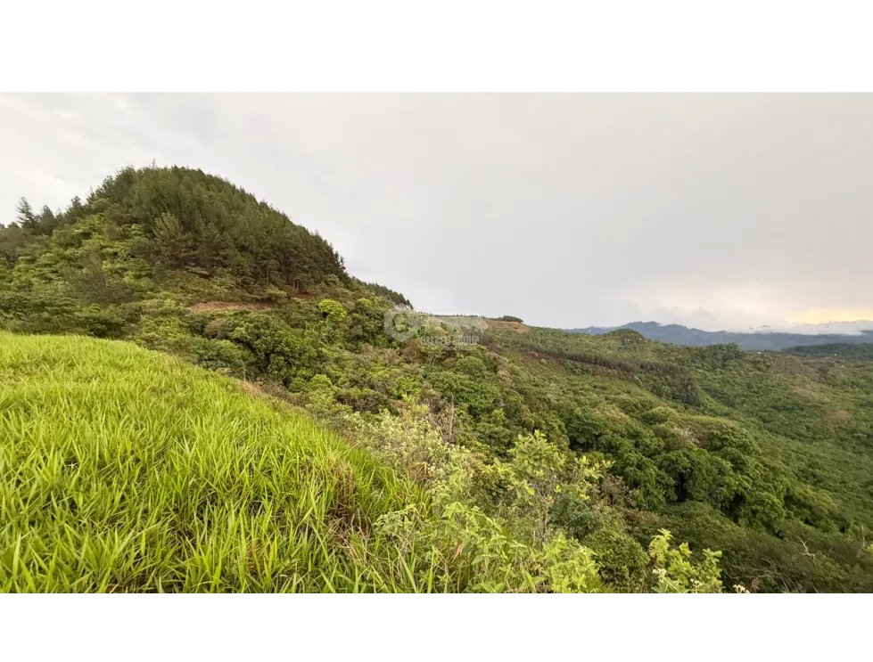 Building Lot for sale in Sora