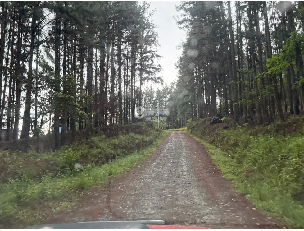 Building Lot for sale in Sora